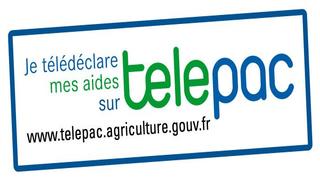 Logo Telepac